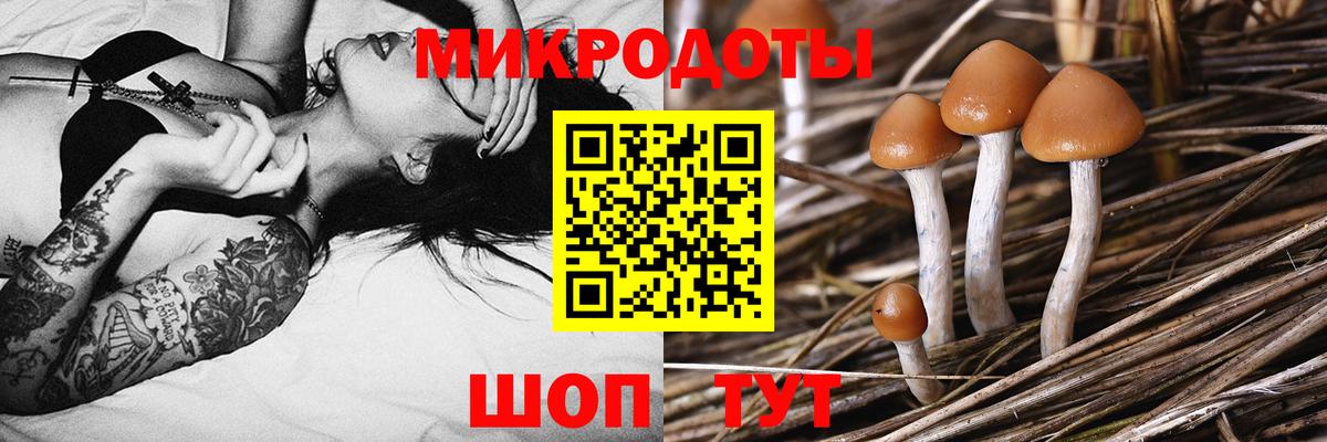 Псилоцибиновые грибы Psilocybe  Вход с VPN  Шадринск  Псилоцибиновые грибы мицелий 