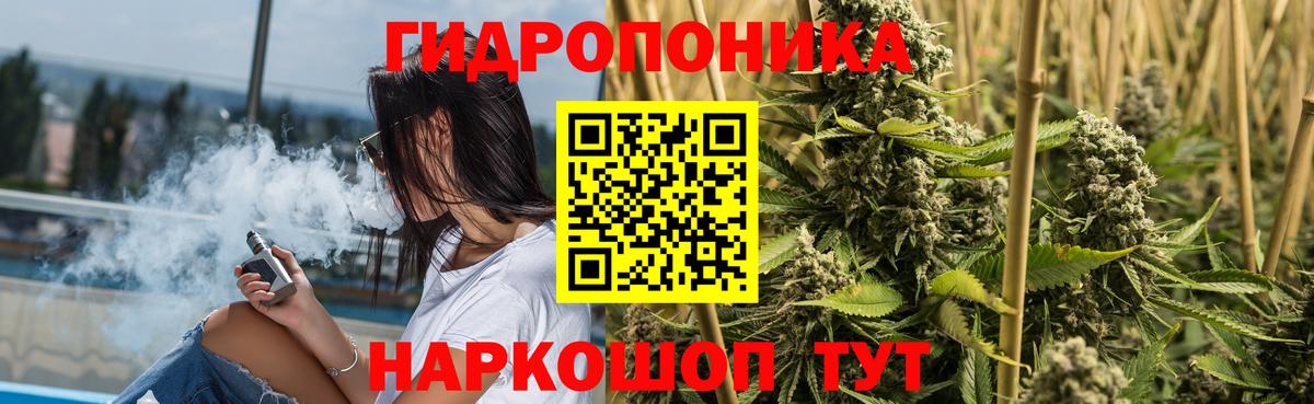 Конопля семена  Вход с VPN  Марихуана планчик  Бошки марихуана гибрид  Шадринск 